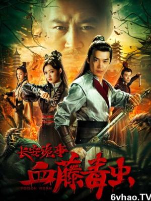 《雾港手记 第二季》缩略图