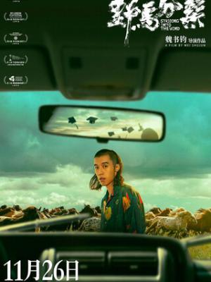 《归途列车》缩略图