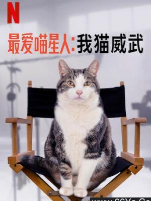《雾港手记 第二季》封面